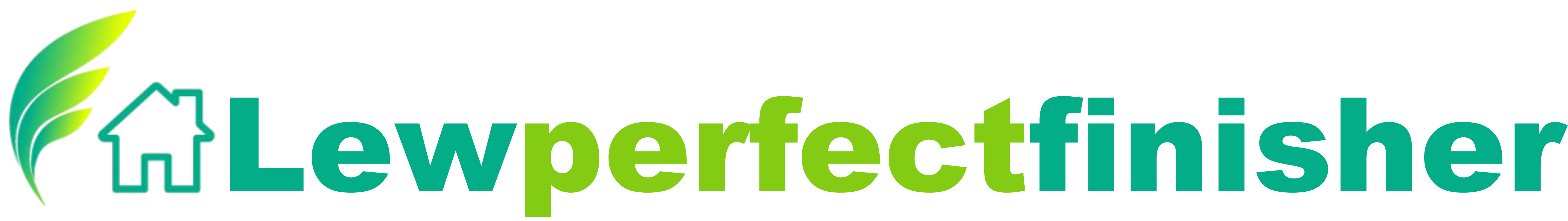 Lewperfectfinisher